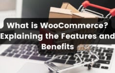 What Is WooCommerce? Explaining the Features and Benefits logo
