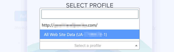 Choosing your Google Analytics profile.