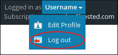 Plesk - Username - Log out